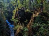 20140825-IMG 9874 : Canada, Vancouver Island