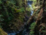 20140825-IMG 9883 : Canada, Vancouver Island