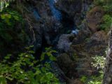 20140825-IMG 9887 : Canada, Vancouver Island