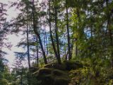 20140825-IMG 9890 : Canada, Vancouver Island