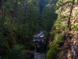20140825-IMG 9913 : Canada, Vancouver Island