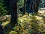20140825-IMG 9925 : Canada, Vancouver Island