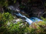 20140825-IMG 9934 : Canada, Vancouver Island