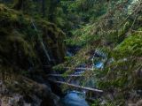 20140825-IMG 9936 : Canada, Vancouver Island