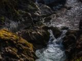 20140825-IMG 9946 : Canada, Vancouver Island