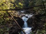 20140825-IMG 9965 : Canada, Vancouver Island