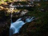 20140825-IMG 9974 : Canada, Vancouver Island