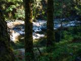 20140825-IMG 9981 : Canada, Vancouver Island