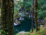 20140825-IMG 9984 : Canada, Vancouver Island