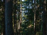 20140825-IMG 9988 : Canada, Vancouver Island