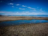 20140826-IMG 0008