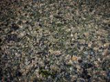 20140826-IMG 0016