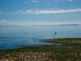 20140826-IMG 0027