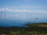 20140826-IMG 0029