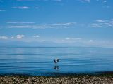 20140826-IMG 0032