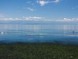 20140826-IMG 0037