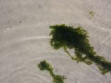20140826-IMG 0044