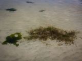 20140826-IMG 0047