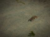 20140826-IMG 0051