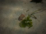 20140826-IMG 0052