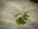 20140826-IMG 0053