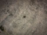 20140826-IMG 0057