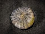20140826-IMG 0059