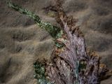 20140826-IMG 0061