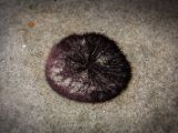 20140826-IMG 0062