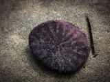 20140826-IMG 0063