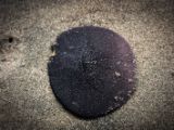 20140826-IMG 0064