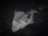 20140826-IMG 0104