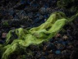 20140826-IMG 0105