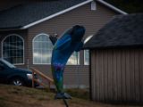20140826-IMG 0106