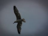 20140826-IMG 0116