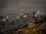 20140826-IMG 0120