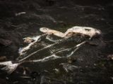 20140826-IMG 0126