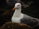 20140826-IMG 0128