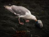 20140826-IMG 0132