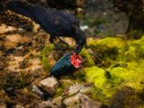 20140826-IMG 0135