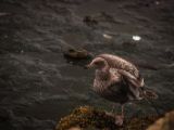 20140826-IMG 0140