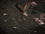 20140826-IMG 0142