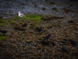 20140826-IMG 0146