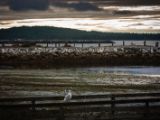 20140826-IMG 0147