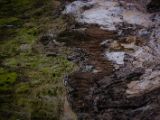 20140826-IMG 0148