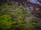 20140826-IMG 0151