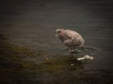 20140826-IMG 0156