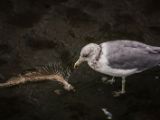 20140826-IMG 0162