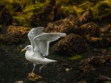 20140826-IMG 0163