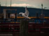 20140826-IMG 0164